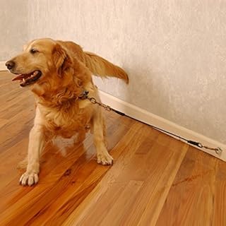 Housebreaking Tie Out (30