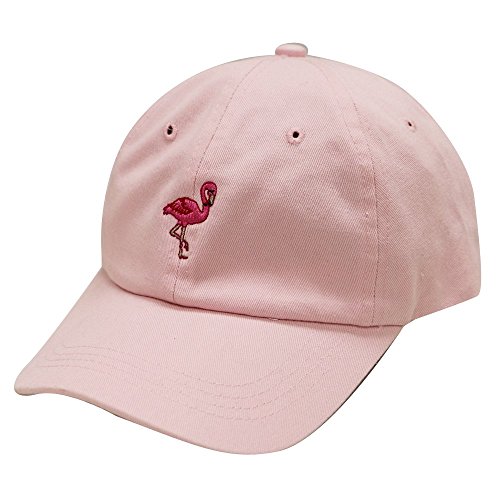 OTS Why Not? Embroidered Dad Hat Women Men Cute Adjustable Cotton Baseball Cap