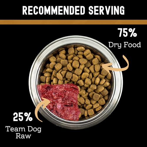 Image of Team Dog Raw Frozen Dog Food | 65% Beef Muscle, Organ Meats, Herring & Green Tripe for Dogs | All Natural Grain Free Dog Food for Optimal Health, Digestion & Coat | 15 x 1 LB Rolls