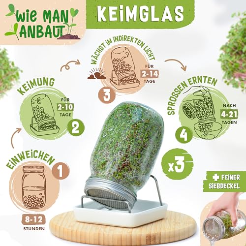 zengreens® Bio Sprossen Anzuchtset – Sprossenglas 1er, 2er oder 3er Set – Enthält Keimglas, Anzuchtschale und Sprossensamen – inkl. 50-seitigem Ratgeber und 10-teiligem Online Videokurs