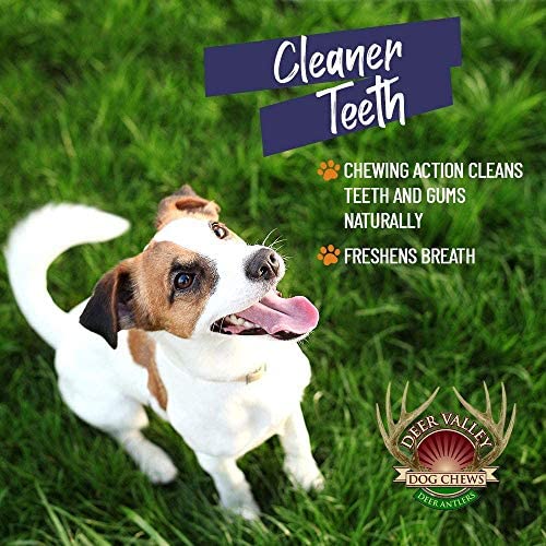 Deer Valley Chews Premium Deer Antler For Puppies (Tiny 4-6 Inches, 6 Pack) Dog Bones For Small Mouths - Pet Treat For Teething And Chewing - Odorless, Naturally Shed, Usa #TOP4