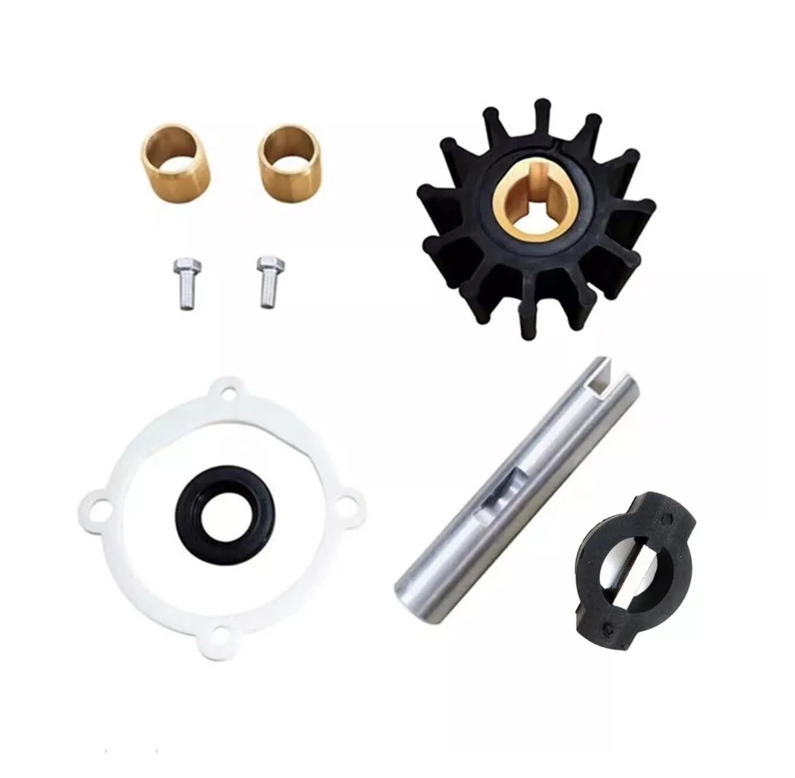 Kit de réparation de pompe à eau AQ120 AQ125 AQ131 875575 pour moteur bateau
