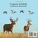 Virginia Animals and Mammals Kids Wildlife Book: Great Wildlife Book about Animals and Mammals in Virginia