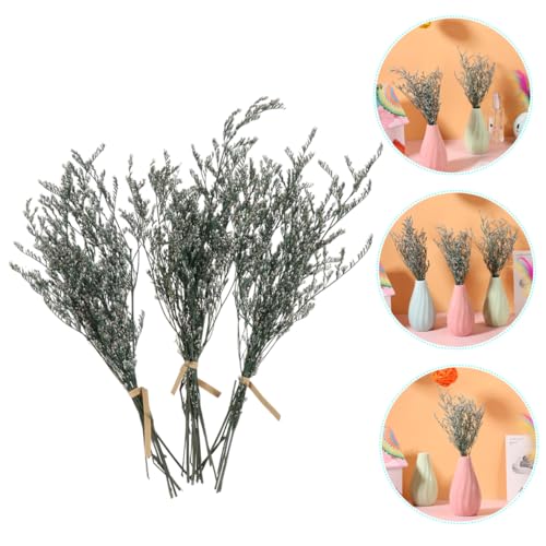 Ramo de flores secas Gypsophila para decoración miniatura 6