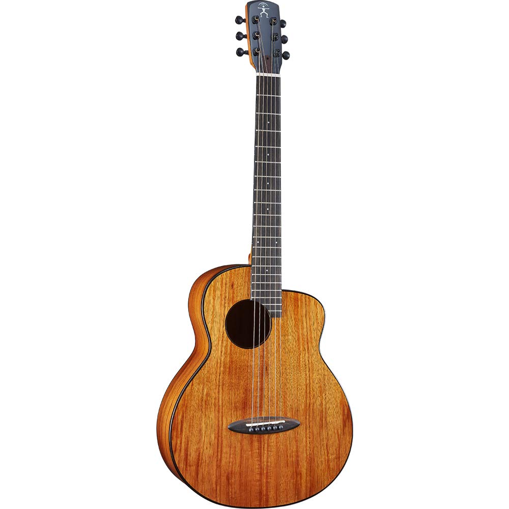 aNueNue Bird M1 アコースティックギター Amazon | アコースティックギター アヌエヌエ バードギター