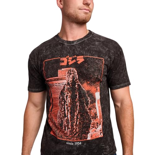 Bioworld Godzilla Kanji Title Art Men's Black Cloud Wash Short Sleeve Tee4
