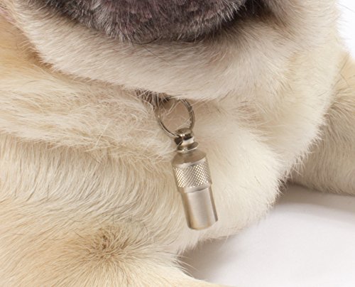 Aribari 2 x Adressanhänger für Hunde und Katzen, Halsbandanhänger, Namensschild auch für kleine Tiere geeignet, Anhänger zur Tierkennzeichnung, aus Metall und wasserdicht