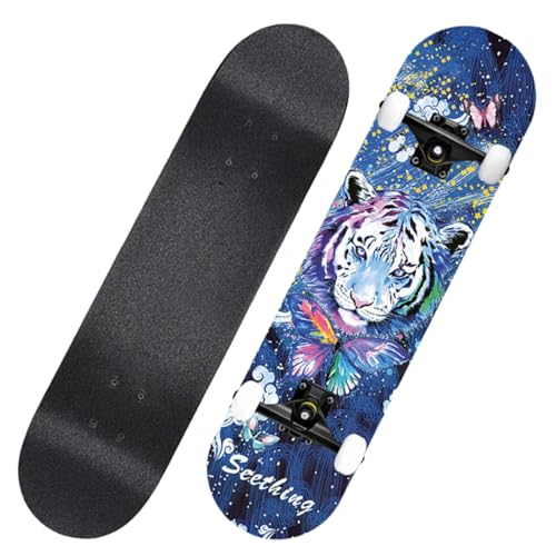 Bxzzuis XP[g{[h l [vEbh 20cm RpNg 4 S q ʃv[g XP{[ q S w LbY XP[g{[h Rv[g XP{[fbL i _uLbN 萫 j̎q ̎q ǂ̓ 