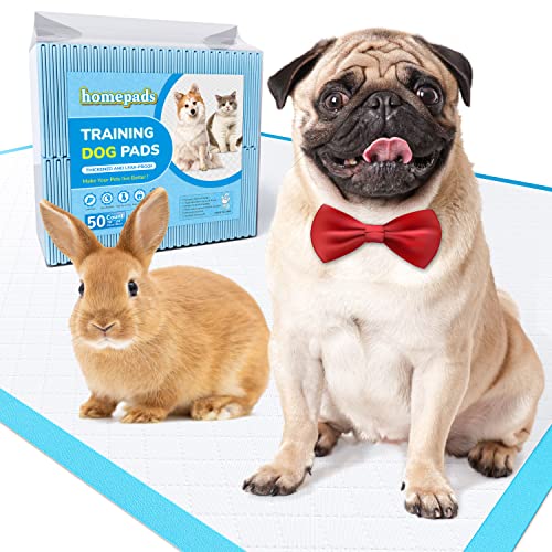 Amazon Best Sellers Best Disposable Dog Training Pads