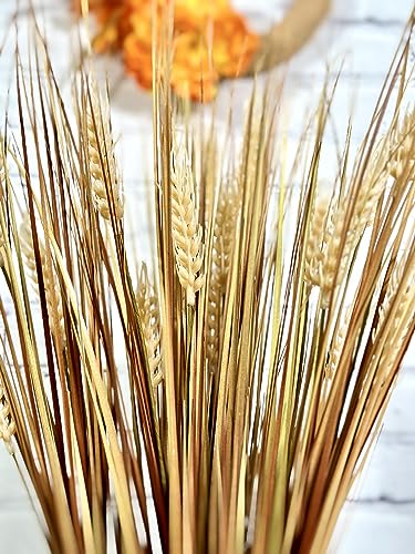 Admired By Nature ABN3B001-GLD-2 28 Inch Artificial Autumn Flowers Artificial Wheat Grain Flowers Grass Bush thumb #3
