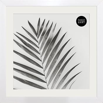 pf+a REAL GLASS 10x10 For 8x8 Picture Photo Frame Wall Tabletop Display