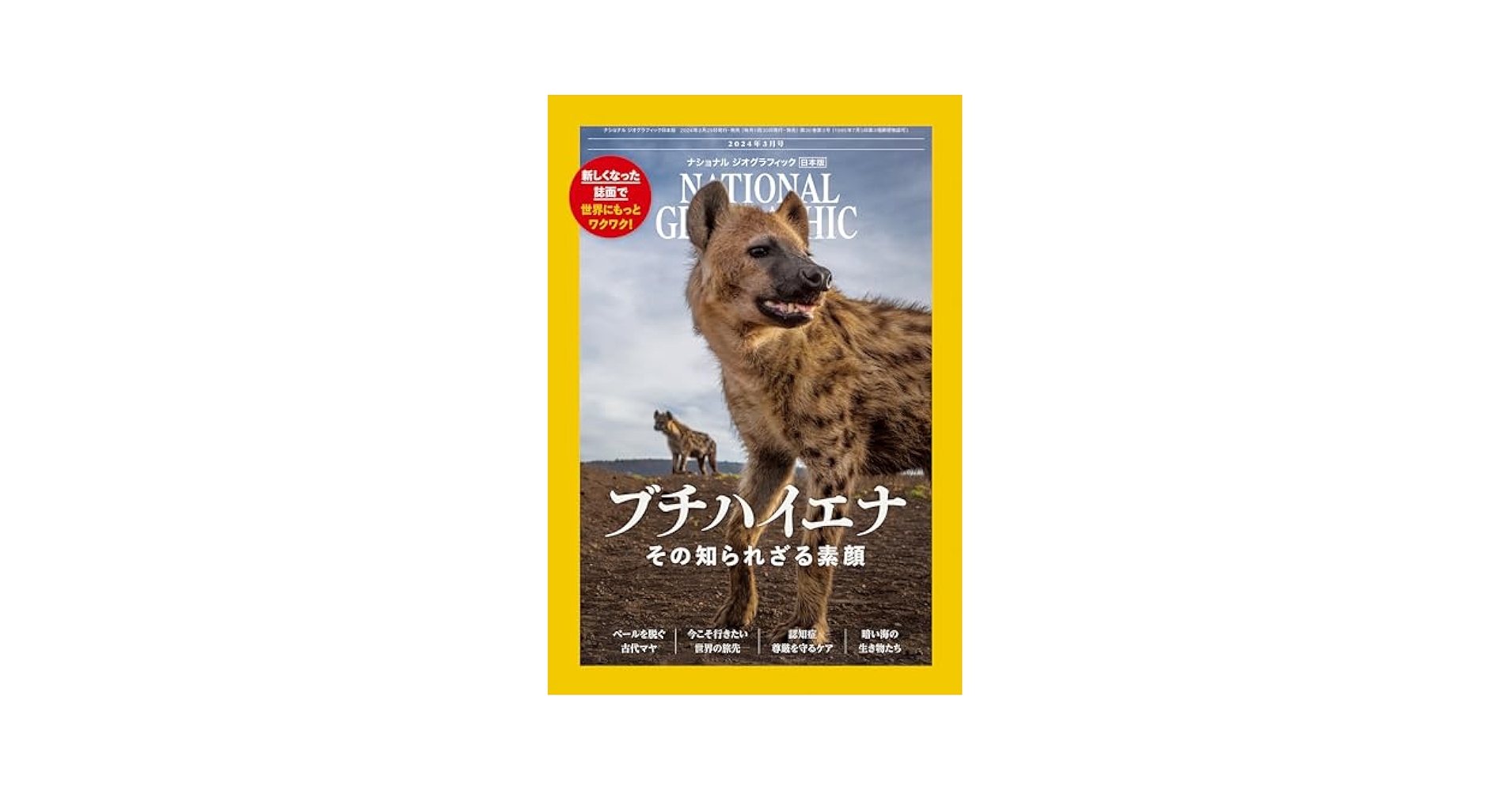 ナショナルジオグラフィック 本 ナショナル ジオグラフィック日本版 2024年10月号（まるごと一冊