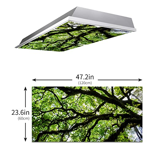 Image of Fluorescent Light Covers for Classroom Office - Eliminate Harsh Glare Causing Eyestrain and Headaches. School-Office-Indoor Ceiling Lamp DecorationGiant Trees