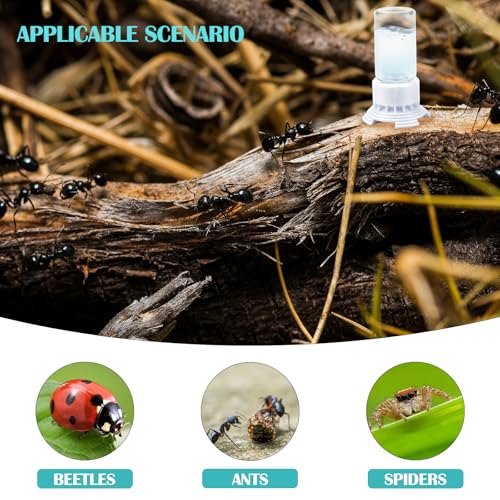 FERCAISH Pack of 2 Ant Glass Bottle Feeder, Ant Dispenser Cup Dispenser, Ant Nest Water Cup, Transparent Ant Drinks - Image 3