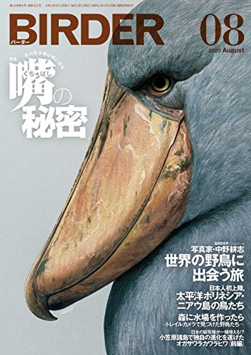 BIRDER (バーダー) 2020年 08月号 [雑誌]