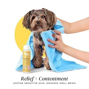   Heavenly-Dog-Shampoo-Ultra-Sensitive-Enriched-Dog-Shampoo-Conditioning-Wash-Hydrates-Skin-Fur-Dog-Bath-Blend-Chamomile-Collagen-Aloe-Gentle-On-Sensitive-Skin-135oz