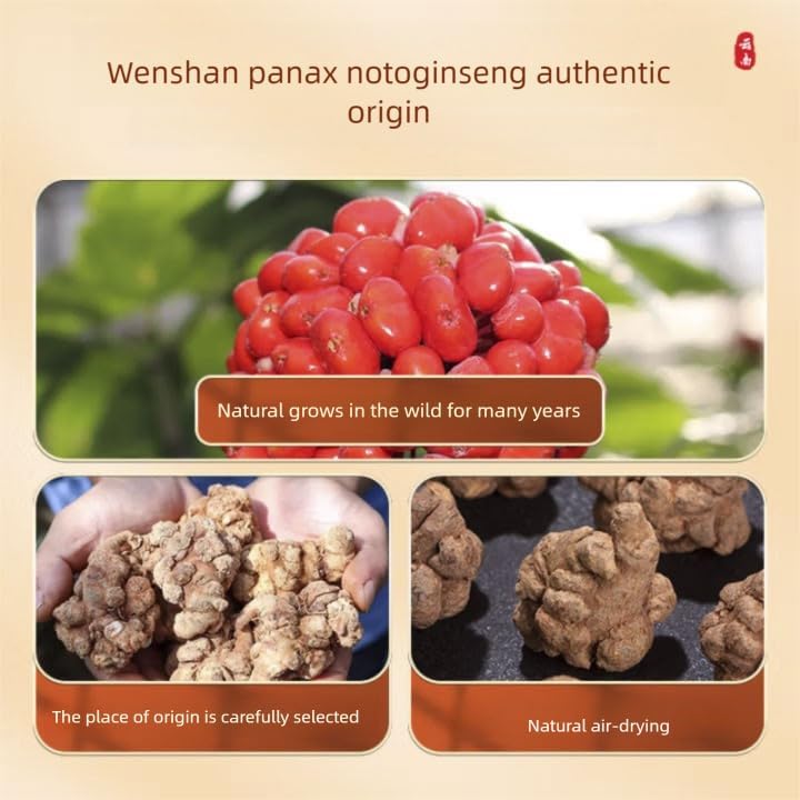 100g (3.5oz) 三七粉100% Pure Tienchi Powder Pseudoginseng Notoginseng Sanqi Powder Tienchi Ginseng Powder 田七粉 1200mesh - Image 2