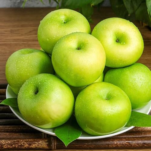 Apple Seeds, Frost-Hardy specimens, Cold Climate Gardens, Winter-Hardy Tree selections 30pcs