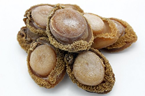 Generic Dried South-Africa Abalone Bao Yu Dried Sea Snail Awabi Haliotis 0.5 Pound 8Oz 227 Grams 南非鮑魚 Free Worldwide Airmail cover