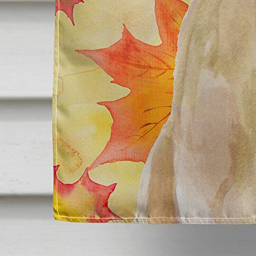 Grand drapeau en toile canvas labrador jaune impression multicolore - 5