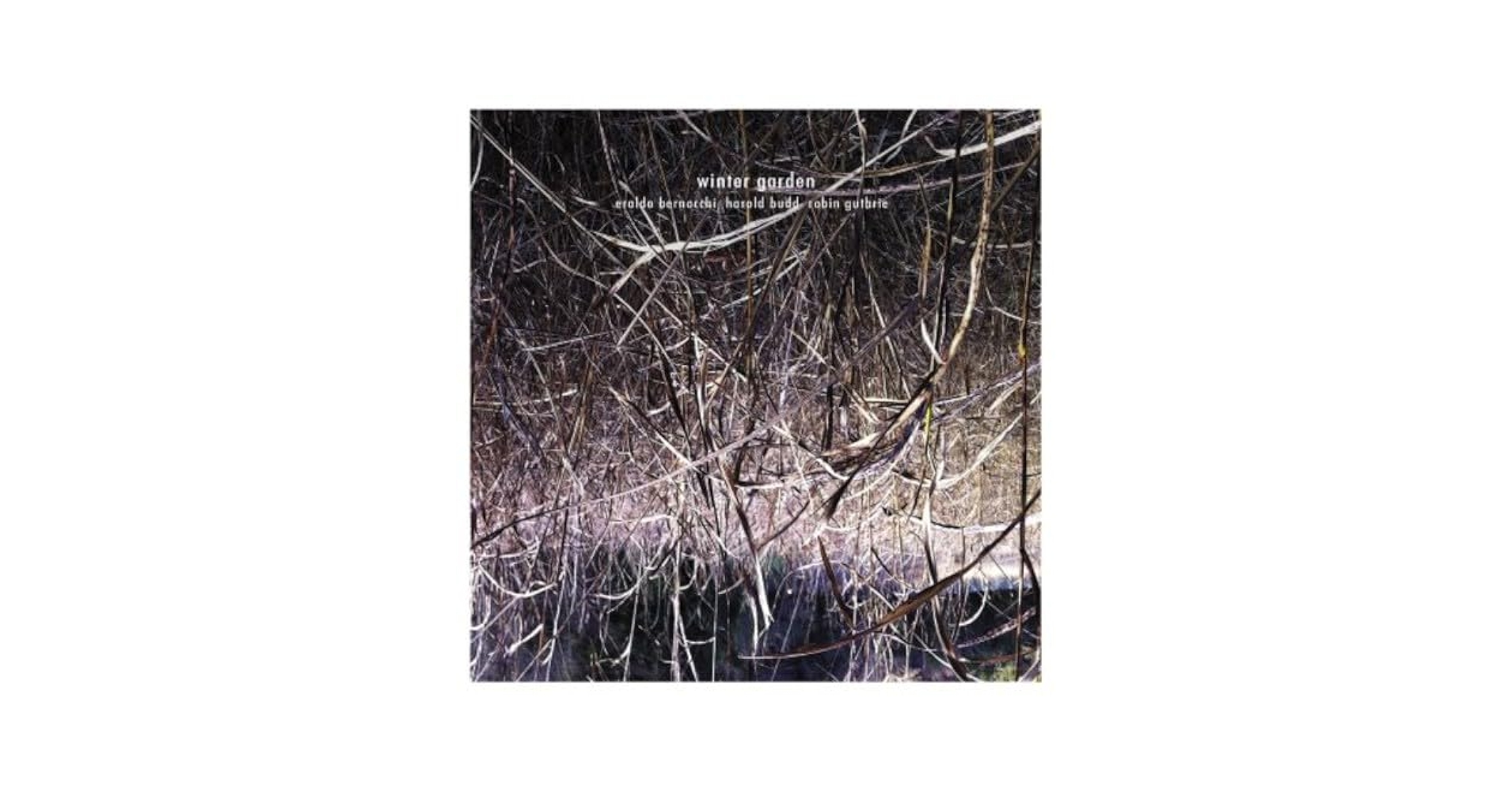 洋楽 harold budd /winter garden Winter Garden [Album] | Eraldo Bernocchi, Harold Budd, Robin
