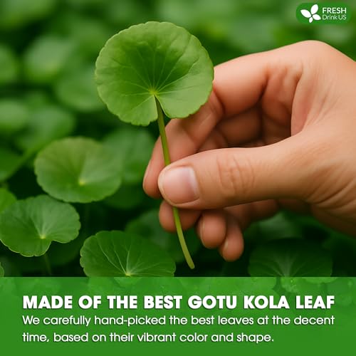 Image of FreshDrinkUS, Premium Gotu Kola Leaf Tea - 75 Tea Bags | Pure Dried Centella Asiatica Leaves | Naturally Caffeine-Free Herbal Tea | Refreshing Aroma & Smooth Taste | Premium Herbal Infusion. Vegan
