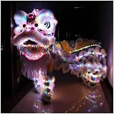 BTURYT Chinese Lion Dance Head with Led Light Silk Dragon Dance Chinese Festival Dragon Dance 2 Persons Party Lion Dance Costumes~/