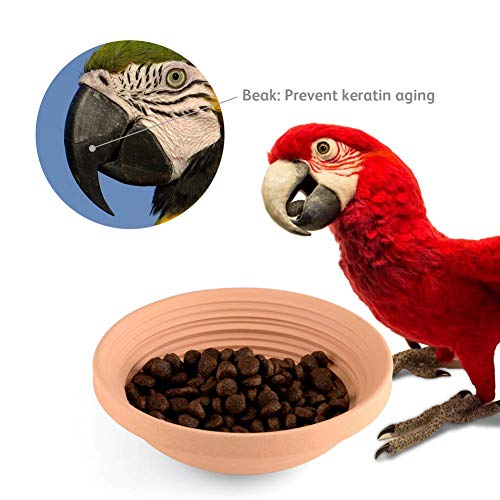 Ceramic Cat Food Bowls - Unique Circular Maze Lines Help Cats Scrub Tongue and Birds Polish Beak, Pottery Pet Feed/Feeder/Feeding Dish/Plate for Persian/Ragdoll/Parrot/Cockatiel/Parakeet (Set of 1)