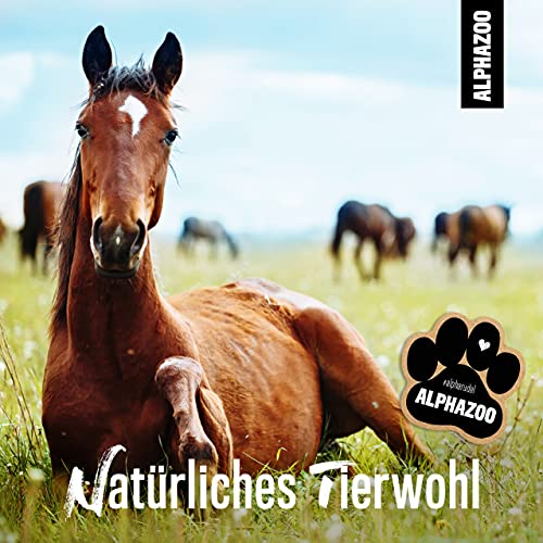Fliegenspray für Pferde von alphazoo NotBremse Insektenschutzmittel