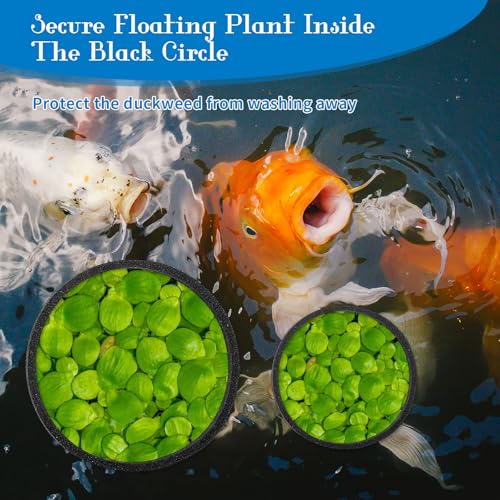 Image of 5Pcs Fish Feeding Ring, 5 Sizes Aquarium Feeding Ring for Fish Tank, Round EVA Floating Plant Corral /Aquarium Fish Feeder Ring Filter Out Floating Plants Accessories (Black)