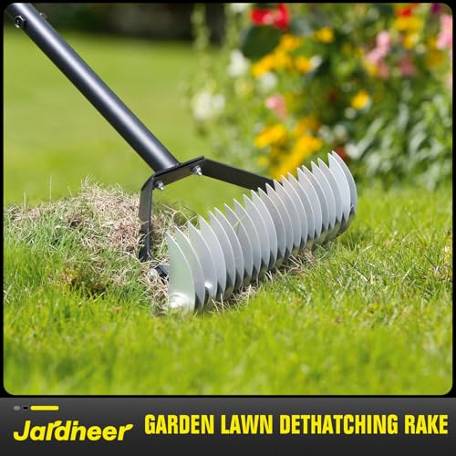 JARDINEER Thatch rake & Manual Dethatcher Tool- Heavy Duty Dethatching Rake for Lawn Care with 21 Stainless Steel Tines-15-Inch Wide Thatching Rake for Efficient Grass De-thatching 3 JARDINEER Thatch rake & Manual Dethatcher Tool- Heavy Duty Dethatching Rake for Lawn Care with 21 Stainless Steel Tines-15-Inch Wide Thatching Rake for Efficient Grass De-thatching - Image 3