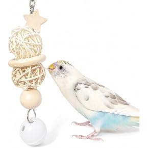 鳥用おもちゃ - Amazon.co.jp