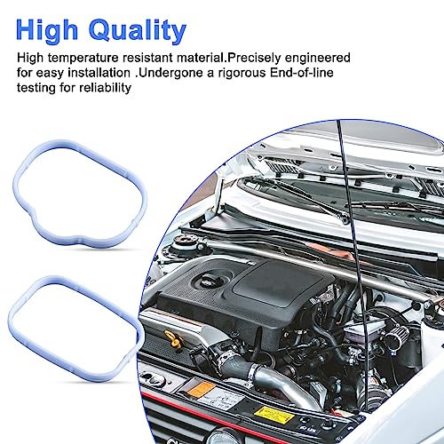 12pz Guarnizione Collettore Aspirazione, Set