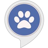  Bespaße die Katze