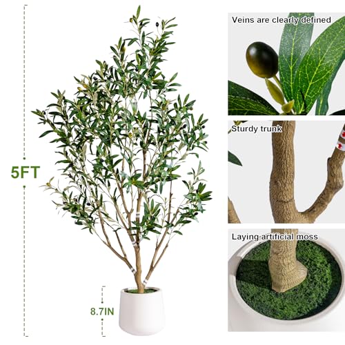 5FT Faux Olive Tree with White Pot & Moss, Artificial Olive Tree Indoor Outdoor, PE/PVC Leaves, Realistic Resin Trunk Large Fake Olive Tree Artificial Plants Indoor, Faux Plants Indoor for Home Decor - Image 2