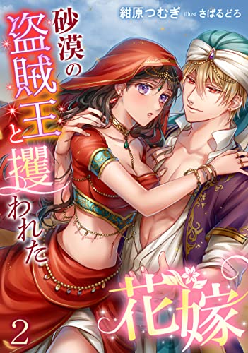 砂漠の盗賊王と攫われた花嫁(2) (アマゾナイトノベルズ)