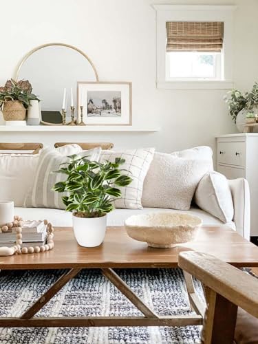 Briful Kunstpflanze Wie Echt Künstliche Ficus Pflanzen im Topf Kleine Dekopflanze für Fensterbank Wohnzimmer Badezimmer Dekoration – Bild 4