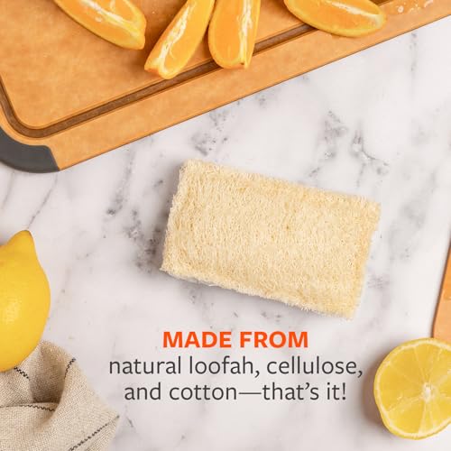 Image of Full Circle 100% Plant-Based Loofah Sponges - Pack of 2 - Plastic-Free, Natural Sponge, No Microplastics, Safe for Nonstick Cookware