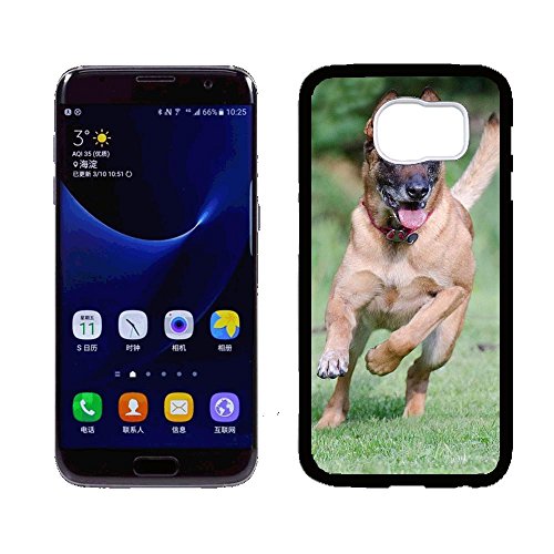 HYBSJKS Malinois Belgian Shepherd Mechelaar