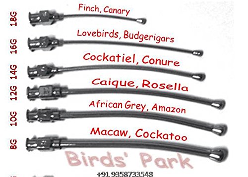 Animal Crop Feeding Curved Needles Oval Tip Reusable for Finch, Grey Parrot & Baby Macaw 1