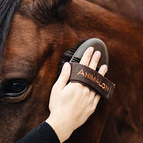 Animalon CareFlex Kardätsche | Flexible & Ergonomische Pferde-Bürste Mit Klettverschluss für Jede Putzbox | Pferde Zubehör