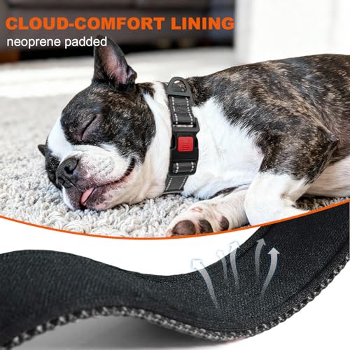 Image of Taglory Reflective Dog Collar for Medium Dogs, Soft and Safe for Daily Walk