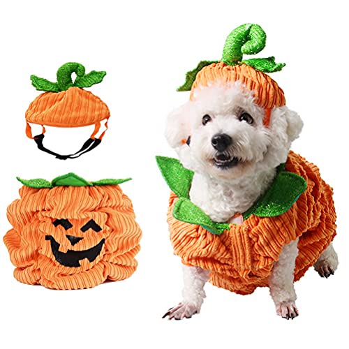 Halloween Pumpkin Dog Costume, Dog Cat Warm Costume Outfit Halloween Pet Cosplay Clothes with Pumpkin Hat for Small Medium Dogs Cats ('M' Size)