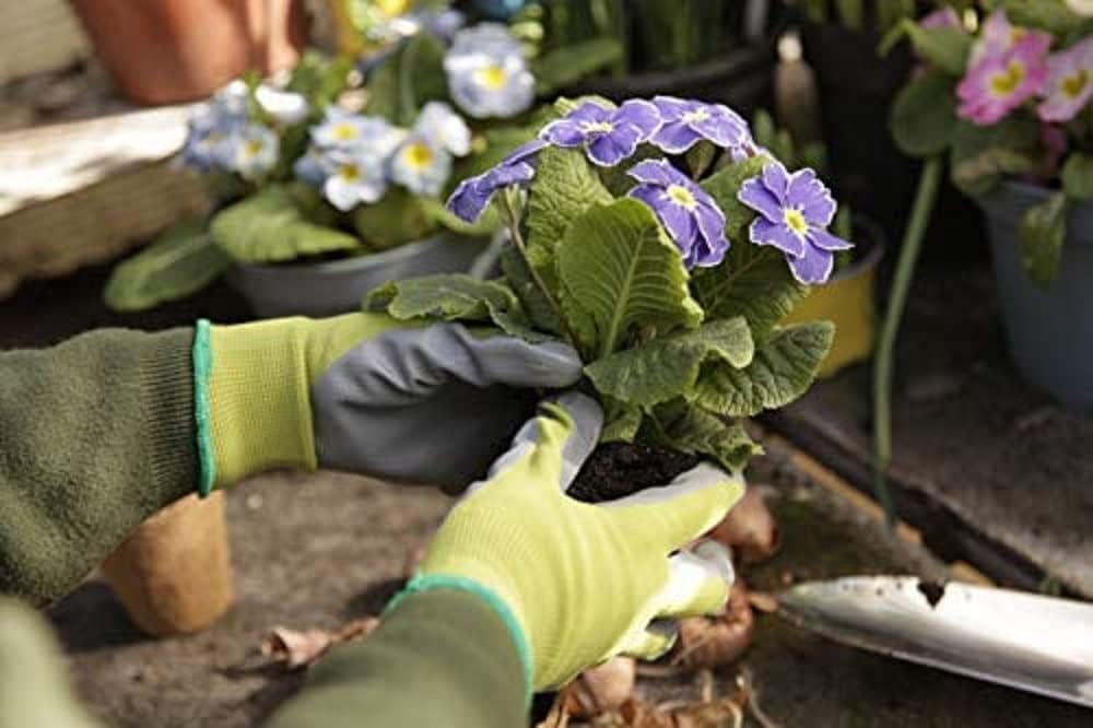 Spear & Jackson SWLGLOVESKEW Kew Gardens Collection Seeding & Weeding Gloves (Pair) - Large