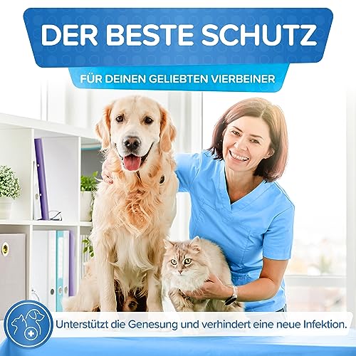 Patronus Giardien-Spray speziell für Hund & Katze 500ml - Hygiene-Spray für Haustiere als Desinfektionsmittel für Oberflächen gegen Viren, Bakterien & Pilze - hochwirksam & hautschonend