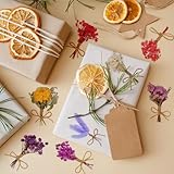 HAOMEEDUO 8 Pcs Ramilletes Flores Secas Mini para Manualidades, Naturales,...
