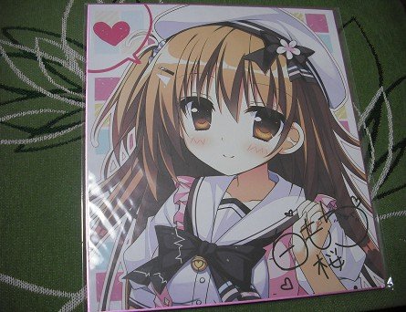 Amazon.co.jp: 【ナツイロココロログ 臣苗鈴 リン色紙】白もち桜 PC