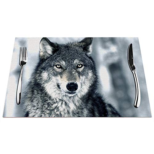 Juego de 4 manteles individuales Wolf de la serie de animales del bosque de invierno, resistentes al calor, para mesa de comedor, antideslizante, 45,7 x 30,5 cm