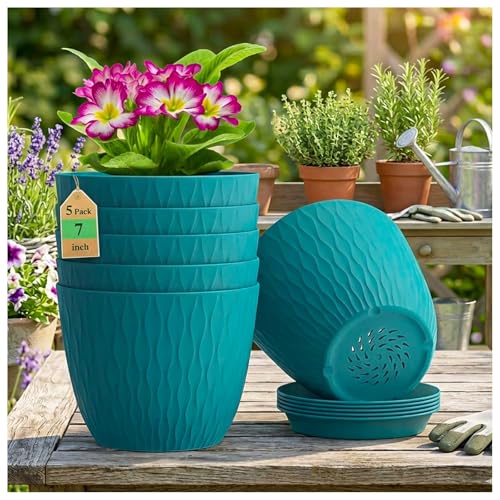 Eightiz (Pack of 5 6 Inch Plastic Flower Pots for Indoor & Outdoo...