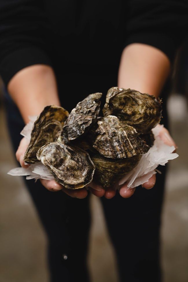 Pacific Oysters 2 Dozen